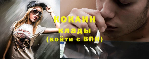 гидра Кинешма