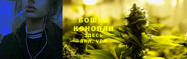 гидра Кинешма