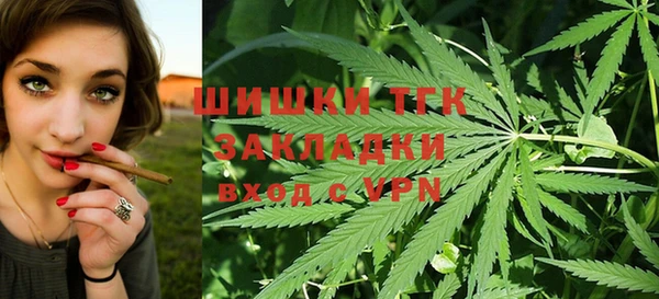 гидра Кинешма