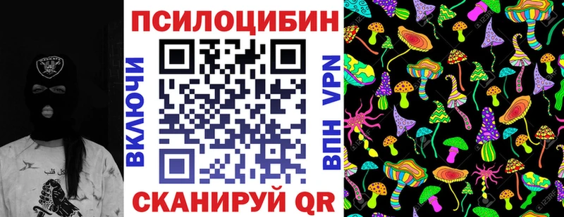 Купить  Дубовка  Галлюциногенные грибы мухоморы 