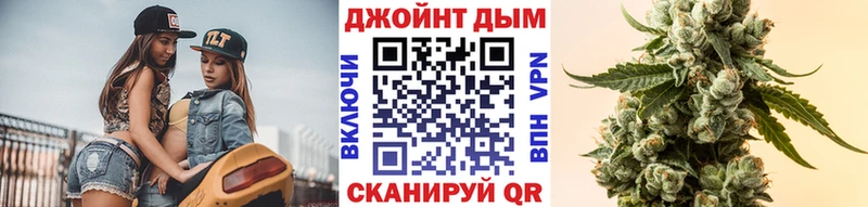 Купить  Дубовка  Канабис OG Kush 
